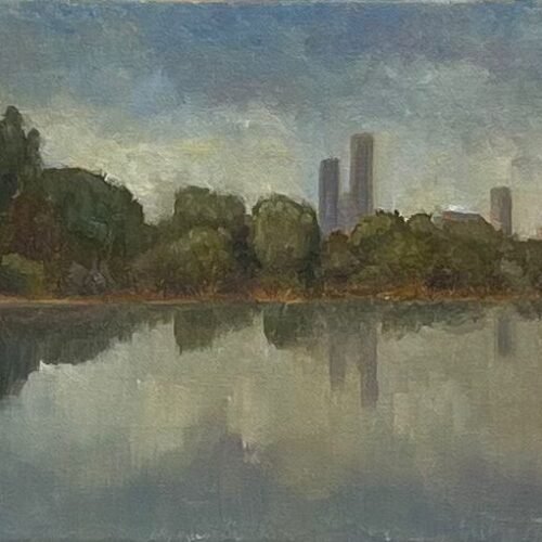 20 x 30cm “reflections “